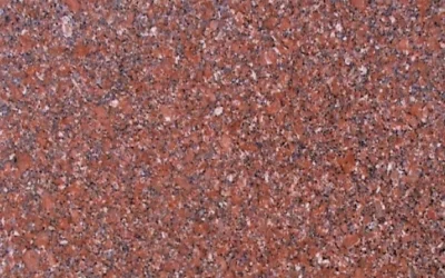 Rajshree Red
